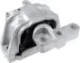 Подушка двигуна 1.9TDI/2.0SDi Caddy 04-10/Golf 04-09 Пр. RAPRO R54257 (фото 1)