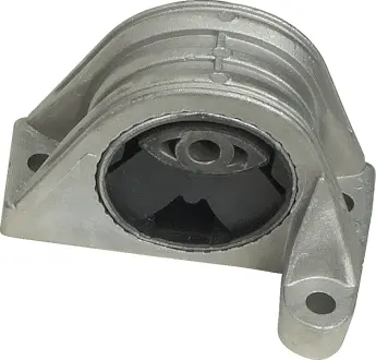 Подушка двигуна Ducato/Boxer 2.0/2.2JTD 02> Пр. RAPRO R59759