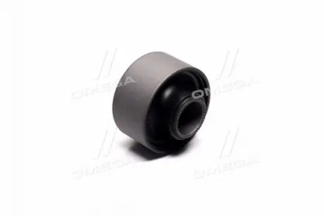 Сайлентблок важеля (переднього RBI T24X10W0