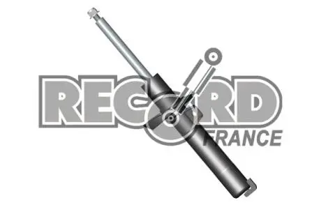 Амортизатор RECORD 334503