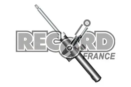 Амортизатор RECORD 334588
