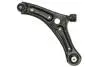Важіль підвіски передній Лів нижн передн FORD ECOSPORT 1.0-2.0 08.12- REINHOCH RH044062 (фото 1)