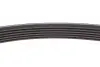 Комплект ремня генератора Kangoo 1.5dCi 09- (6PK1197) RENAULT 117202495R (фото 6)