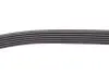 Комплект ременя генератора Duster 1.5dCi 10- (6PK1178) RENAULT 117202506R (фото 6)