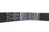 Комплект ременя генератора Trafic 1.6 dCi 14- (7PK1684) RENAULT 117205040R (фото 9)