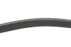 Комплект ременя генератора Dacia Duster/ Laguna II 1.4/1.6 16V 04- (6PK1822) RENAULT 117206746R (фото 3)