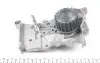 Водяний насос Duster, Logan, Lodgy, Clio, Fluence,Kangoo, Megane 1.6 16V RENAULT 210105707R (фото 3)