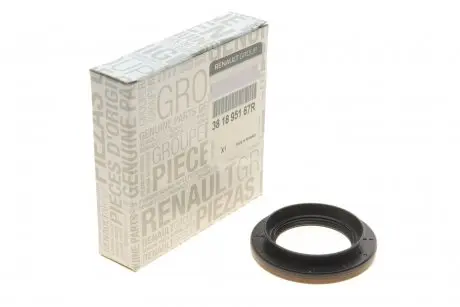 Сальник хвостовика Master 10- RENAULT 381895167R