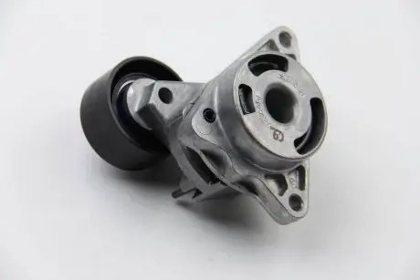 Натяжник ременя генератора Master/Trafic 2.2-2.5dCi 02- RENAULT 8200761529