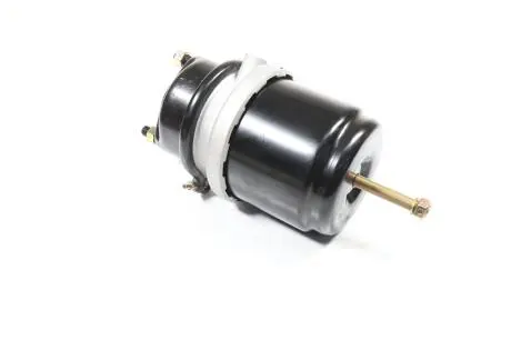 Камера гальмівна з поршневим енергоакумулятором тип 20/24 лінійка PROFESSIONAL RIDER RD 019263