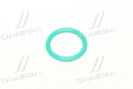 Уплотнительное кольцо форсунки MB,DAF 85CF,DAF 95XF 20,9х26,9х3 FKM Фторкаучук (зеленый)) RIDER RD.2430210081