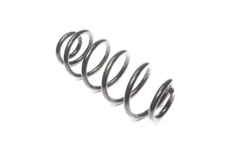 Пружина подв. Audi A4, A6, VW Passat 98-05 передняя. (2,5TDI) RIDER RD.34110003
