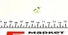 Автолампа 24V 1.2W B8.5d LED Grey (в щиток устройств) Ring R508TLED (фото 4)