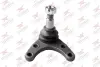 Опора кульова (передня/знизу) Ford Ranger 2.5 TD 99-12 RODRUNNER BJMA504 (фото 1)
