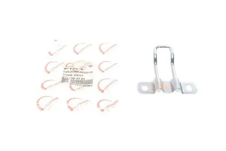 Петля двери (задняя/нижняя) Citroen Nemo/Fiat Fiorino 07- ROTWEISS 1357264080