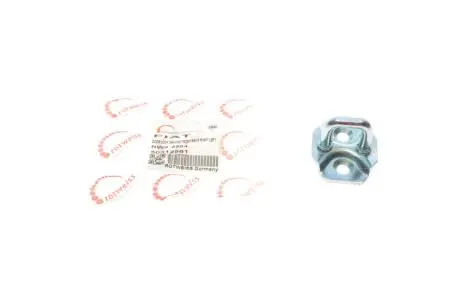 Петля двери (передней) Fiat Doblo 01- ROTWEISS 50512981