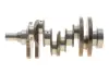 Коленчатый вал Land Rover Discovery/Range Rover 3.0 SD V6 05- ROTWEISS LR038168 (фото 1)