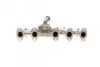 Коллектор выпускной VW T5 2.5TDI 03- (070253017) ROTWEISS RWS1518 (фото 5)