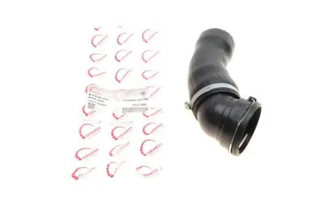 Патрубок інтеркулера BMW 5 (E60) 04-10 M57 ROTWEISS RWS2640
