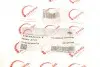 Патрубок интеркулера BMW 3 (E90) 05-11 M57 ROTWEISS RWS2703 (фото 5)