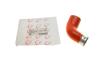 Патрубок интеркулера VW Caddy III 1.9TDI/2.0TDI 04-15 ROTWEISS RWS2869 (фото 1)