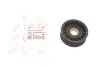 Ролик генератора Ford Transit Connect 1.8 16V 02-13 (паразитний) ROTWEISS RWS3243 (фото 1)