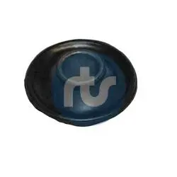 Автозапчасть RTS 01700204