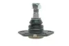 Опора кульова (передня/знизу) Citroen Jumper/Fiat Ducato/Peugeot Boxer (1.8t) 94- RTS 93-00582-056 (фото 3)