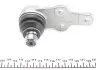 Опора шаровая (передняя/снизу)) Ford Mondeo III 00-07 (d=21mm) RTS 93-00662-056 (фото 4)