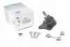 Опора шаровая (передняя/снизу)/L) Audi A3/Seat Toledo/Leon/Skoda Octavia/VW Golf IV 96-10 RTS 93-00955-256 (фото 1)
