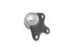 Опора шаровая (передняя/снизу)/R) Seat Cordoba/Ibiza 02-/Skoda Fabia 99-14/Roomster 06-15/VW Polo 01- RTS 93-05340-156 (фото 6)