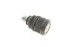 Опора шаровая (передняя/снизу)) Mazda 3 03-14/Mazda 5 05-/Tribute 00-08 (d=18mm/42.45mm) RTS 93-08008 (фото 2)