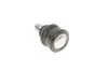 Опора кульова (передня/знизу) Ford Transit Courier 14-/Fiesta 08-/Mazda 2 07-15 (d=17.5mm/38.6mm) RTS 93-90644 (фото 3)