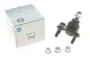 Опора шаровая (передняя/снизу)/R) Audi A3/Seat/Skoda Octavia/SuperB/VW Caddy/Golf/Touran/Tiguan 03- RTS 93-90938-156 (фото 1)