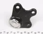 Опора шаровая (передняя/снизу)/L) Audi A2 00-05/Seat/Skoda Fabia 99-14/Roomster 06-15/VW Polo 01- RTS 93-95910-256 (фото 4)