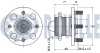 Підшипник маточини (задньої) Hyundai Accent/Kia Rio 1.0-1.6 02- RUVILLE 221221 (фото 2)