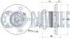 Подшипник ступицы (задней) Mini (F54/F55/F56/F57) 13-, F-580224.16 RUVILLE 221906 (фото 2)