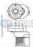 VW Натяжной механизм Golf,Polo,Touran,Passat RUVILLE 542169 (фото 2)