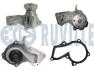 Водяна помпа Ford Fiesta V, VI, Focus II, Mondeo IV 1.25/1.4/1.6 11.01- RUVILLE 561422A (фото 1)