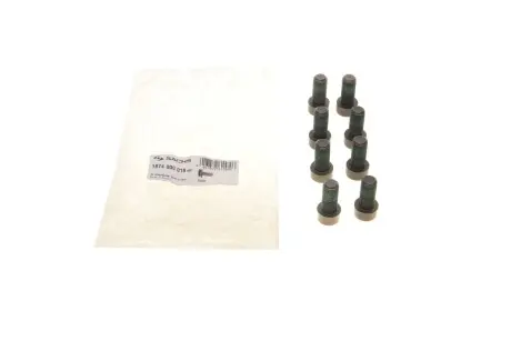Комплект болтов сцепления SACHS 1874 000 018