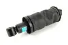 Амортизатор задней кабины MAN, STEYR SACHS 313 183 (фото 1)