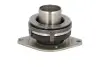 Підшипник вичавний AUDI A4/A5/A6/Q5 "07>> 3189600062