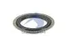 Уплотнительное кольцо ступицы MAN 135x170/205x11/16 SAMPA 021.077 (фото 1)