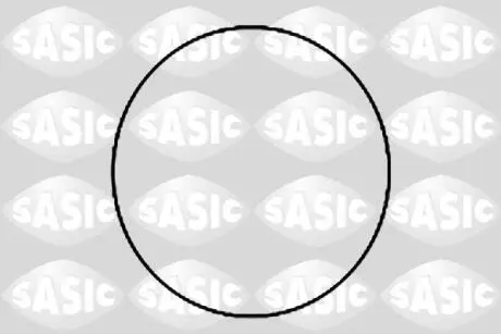 Кольцо уплотнительное гильзы цилиндра SASIC 1120780