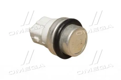 Датчик температуры (выр-во) SASIC 3254001