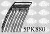 Ремень поликлиновый SASIC 5PK880 (фото 1)