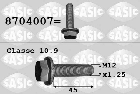 Болт колінвалу R 1.9DCI 01- LAG SASIC 8704007