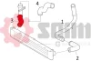 Патрубок интеркулера (нижний) (R) Citroen Jumper/Fiat Ducato 2.2HDi/3.0HDi/2.3D 06- Seim 981161 (фото 3)