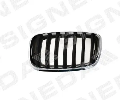 Решітка радіатора Signeda PBM07053GAL