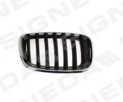 Решітка радіатора Signeda PBM07053GAR